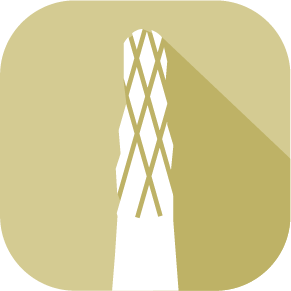 Bohrer
