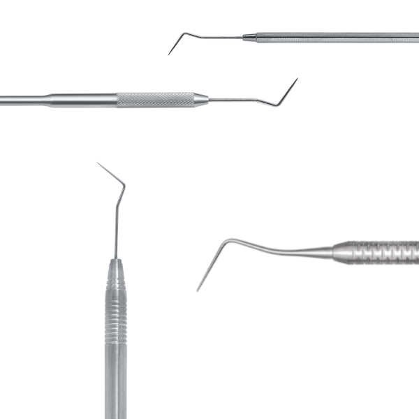 Sonde